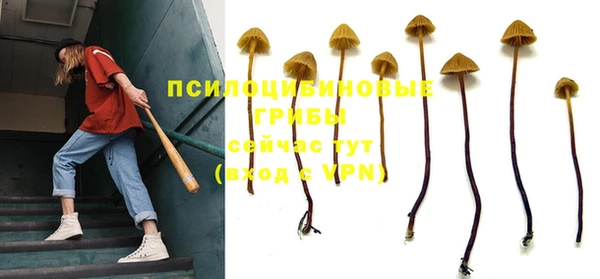 не бодяженный Бородино