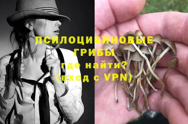 spice Бугульма