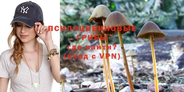 не бодяженный Бородино